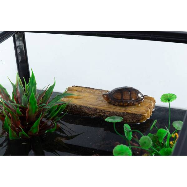 ReptiZoo 2 in 1 Food Holder & Seat