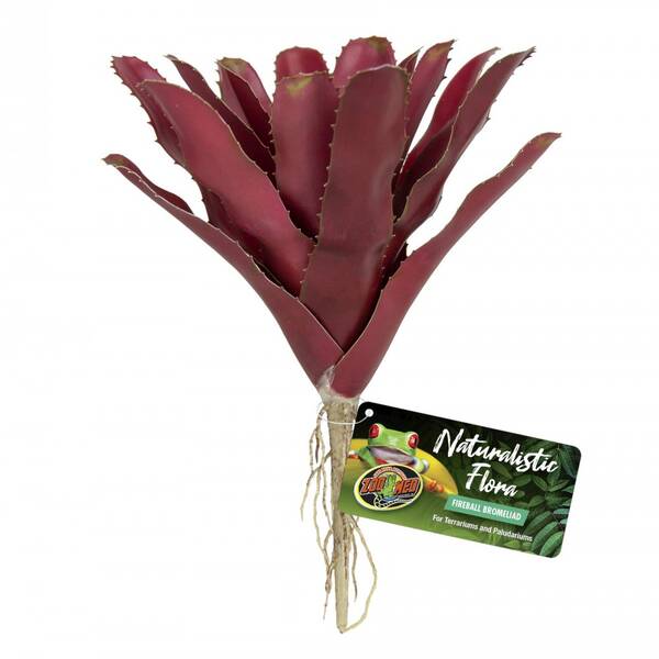 Zoo Med Naturalistic Flora Fireball Bromeliad Zoo Med Naturalistic Flora Fireball Bromeliad