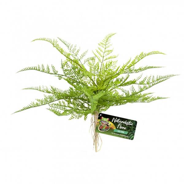 Zoo Med Naturalistic Flora Lace Fern