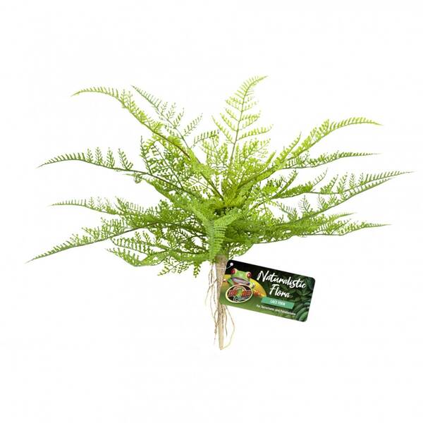 Zoo Med Naturalistic Flora Lace Fern Zoo Med Naturalistic Flora Lace Fern