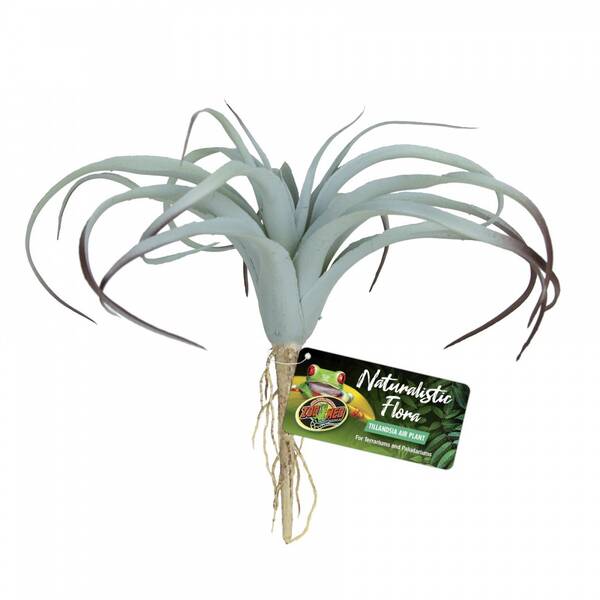 Zoo Med Naturalistic Flora Tilandsia Air Plant Zoo Med Naturalistic Flora Tilandsia Air Plant