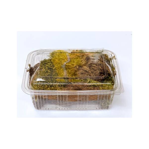 Thick Moss (2.5lt)