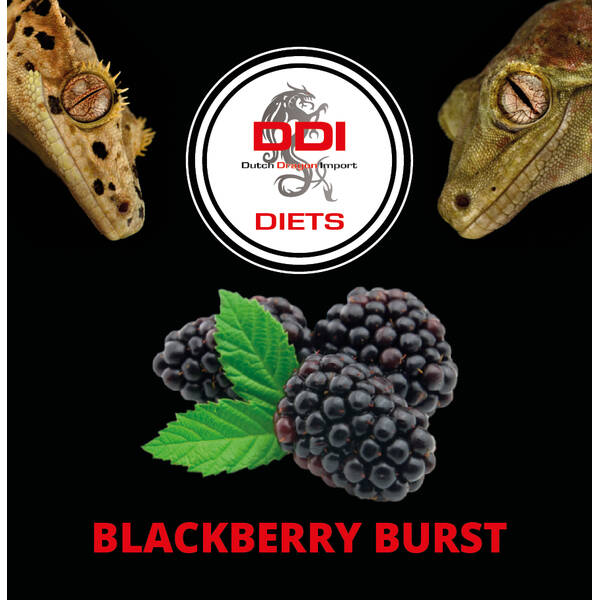 DDI Diets Blackberry Burst 60gr