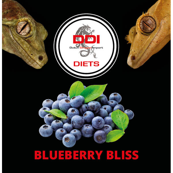 DDI Diets Blueberry Bliss 60gr DDI Diets Blueberry Bliss 60gr