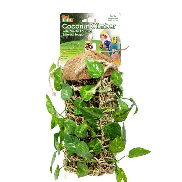 Hanging Coconut Climber (Real Coconut+Natural Seagrass) Hanging Coconut Climber (Real Coconut+Natural Seagrass)