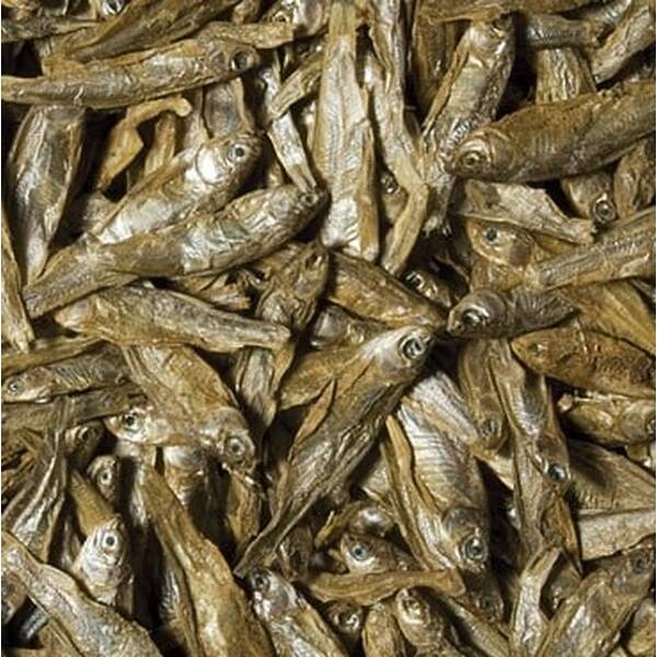 Tropical Dried Fish Tin 250ml