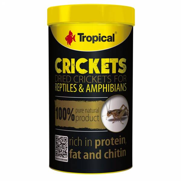 Tropical Crickets Tin 250ml Tropical Crickets Tin 250ml