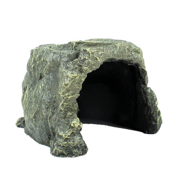 Reptiles Planet Waitomo Cave Decoration L 18x18x12cm