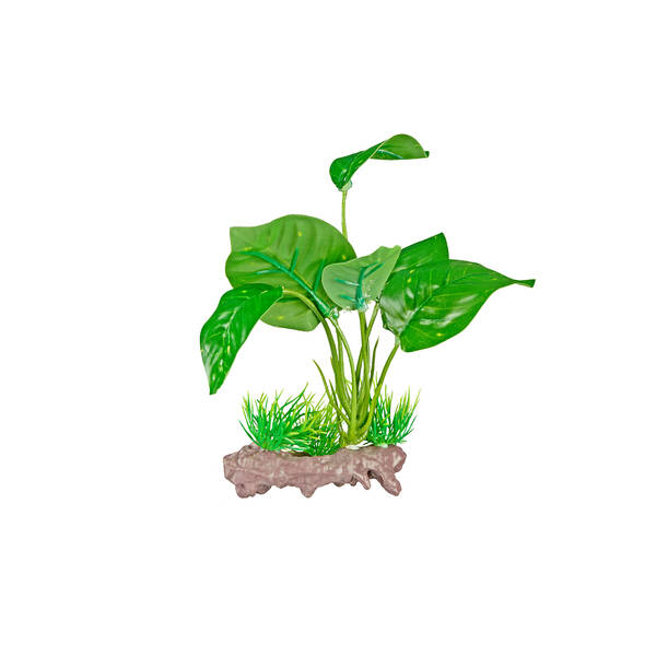 ReptiZoo Plastic Plant (Scindapsus Aureus) 14cm