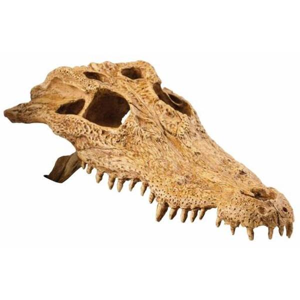 Exo Τerra Crocodile Skull