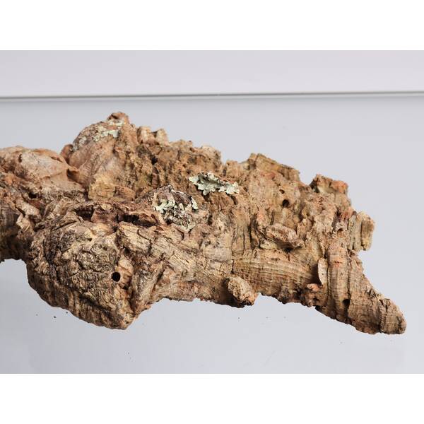 Decorative Cork Flat Decorative Cork Flat