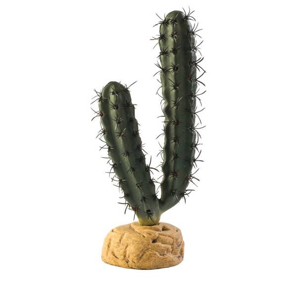 Exo Terra Desert Plants Finger Cactus Exo Terra Desert Plants Finger Cactus