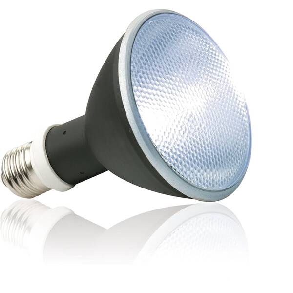 Exo Terra Sunray Fixture with Ballast & Bulb 50W