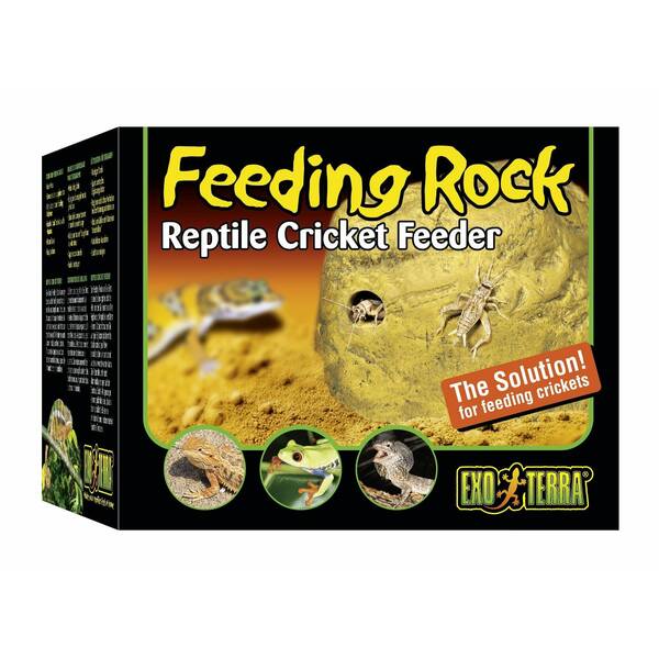 Exo Terra Feeding Rock Reptile Cricket Feeder