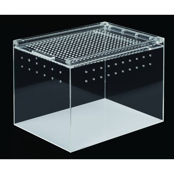 ReptiZoo Plexiglass Terrarium 40x30x15 cm White