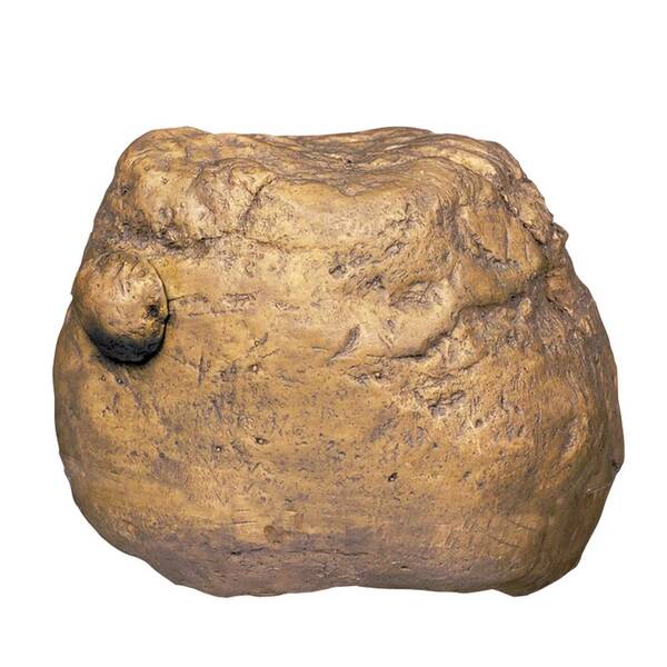 Exo Terra Feeding Rock Reptile Cricket Feeder