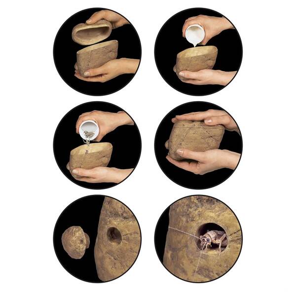 Exo Terra Feeding Rock Reptile Cricket Feeder