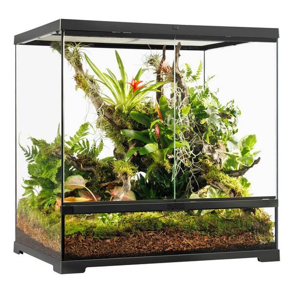 Exo Terra Pro Terrarium Mediuml/Tall 60x45x60 cm