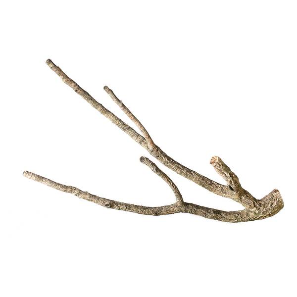 Decorative Cork Tronchos Branched Small 50-70 cm Decorative Cork Tronchos Branched Small 50-70 cm