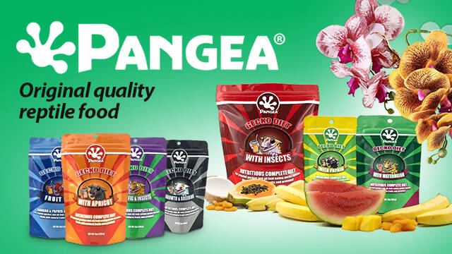 pangea