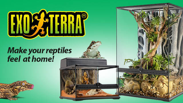 exo terra