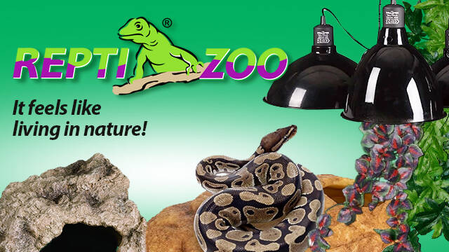 REPTIZOO