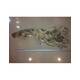 Driftwood 50-60 cm