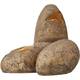Exo Terra Dinosaur Eggs Fossil Hide-Out Exo Terra Dinosaur Eggs Fossil Hide-Out