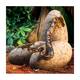 Exo Terra Dinosaur Eggs Fossil Hide-Out Exo Terra Dinosaur Eggs Fossil Hide-Out
