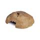 Exo Terra Reptile Cave X-Large Exo Terra Reptile Cave X-Large