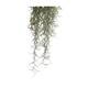 Exo Terra Spanish Moss Small Exo Terra Spanish Moss Small