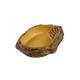 Exo Terra Water Dish Large