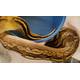Python Regius Bongo Cypress Pastel Ball Python Female (0.1)