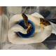 Piebald Possible Dalmatian Kings Python NZ/19 Python Regius Male (1.0)