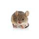 Mouse Small 6-15gr