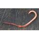 Lumbricus Terrestris (1 Box - 10pcs)