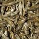 Tropical Dried Fish Tin 250ml Tropical Dried Fish Tin 250ml