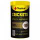 Tropical Crickets Tin 250ml Tropical Crickets Tin 250ml