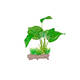 ReptiZoo Plastic Plant (Scindapsus Aureus) 14cm