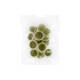 Fruit Cups Melon 12pcs
