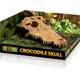 Exo Τerra Crocodile Skull