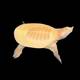 Chinese Softshell Albino Turtle (Pelodiscus Sinensis)