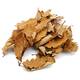 Dried Oak Leaves Brown (100 pieces)