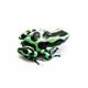 Dendrobates Auratus Green (eu-bred) L